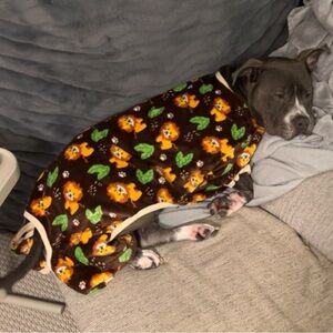 Dog & Cat Cozy Plush Fleece PJs, Lions, XXX-Large